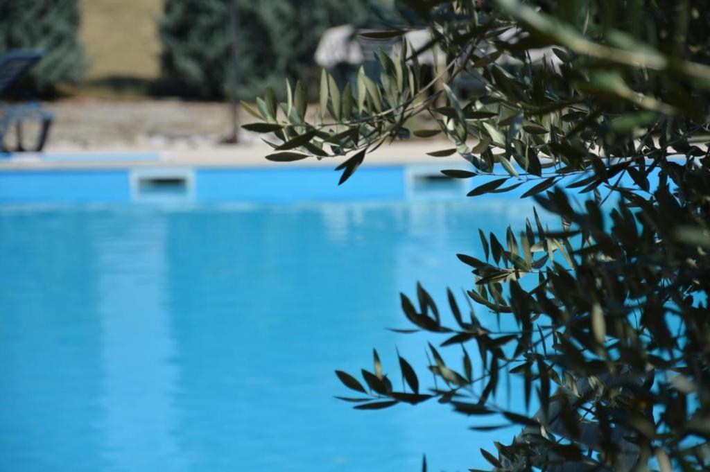 Holiday Home Atena Nova Vas  Ngoại thất bức ảnh
